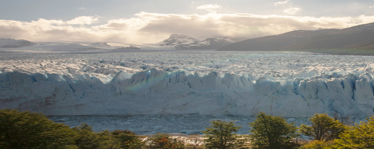 EL CALAFATE CLASSIC